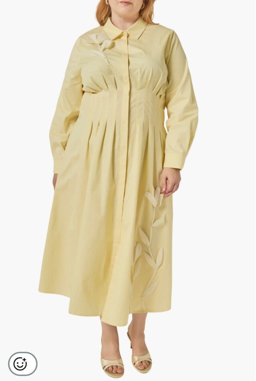 NWT English Factory Appliquéd Pleated Cotton Shirtdress Sz S